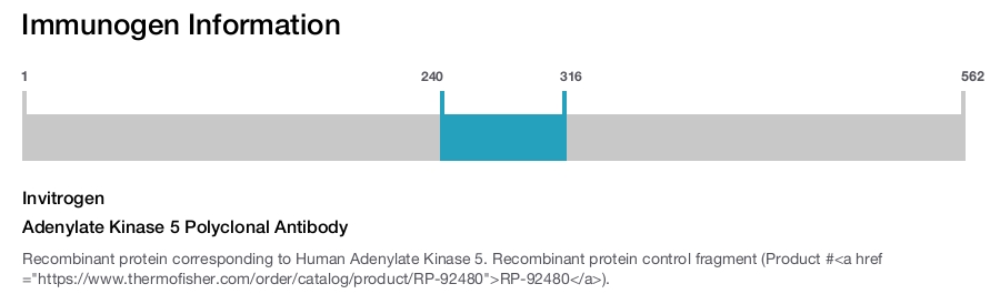 Adenylate Kinase 5 Polyclonal Antibody