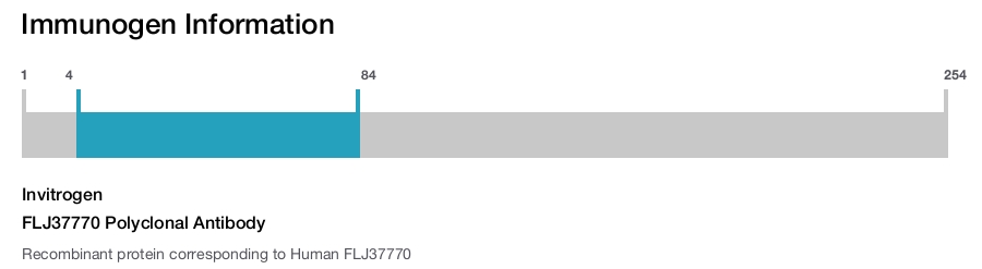 FLJ37770 Polyclonal Antibody