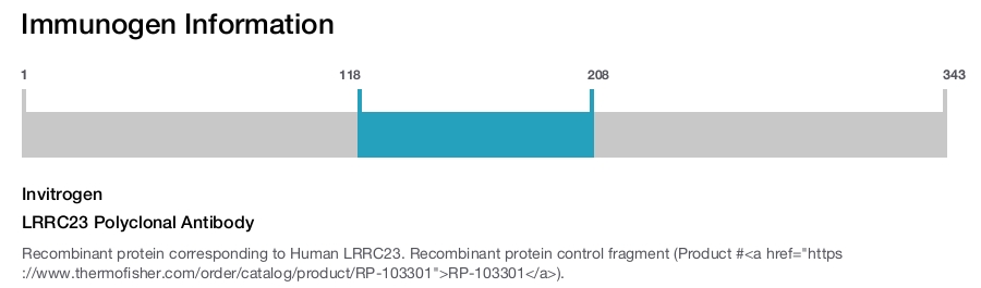 LRRC23 Polyclonal Antibody