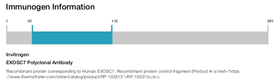 EXOSC7 Polyclonal Antibody