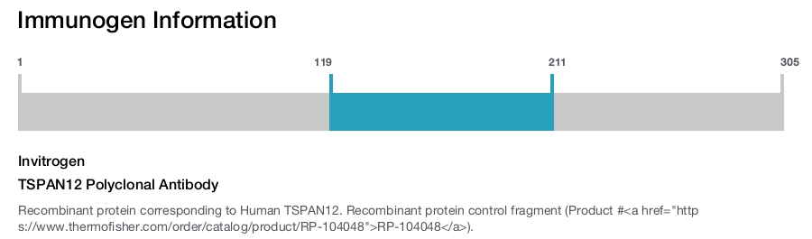 TSPAN12 Polyclonal Antibody