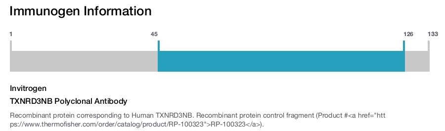 TXNRD3NB Polyclonal Antibody