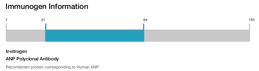 ANP Polyclonal Antibody