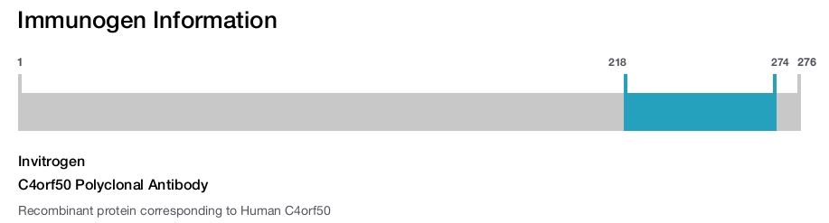 C4orf50 Polyclonal Antibody