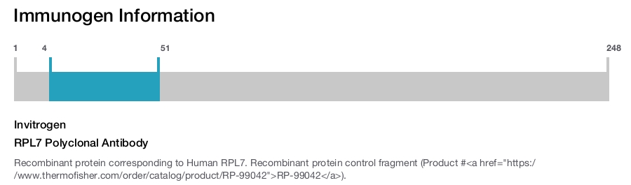 RPL7 Polyclonal Antibody