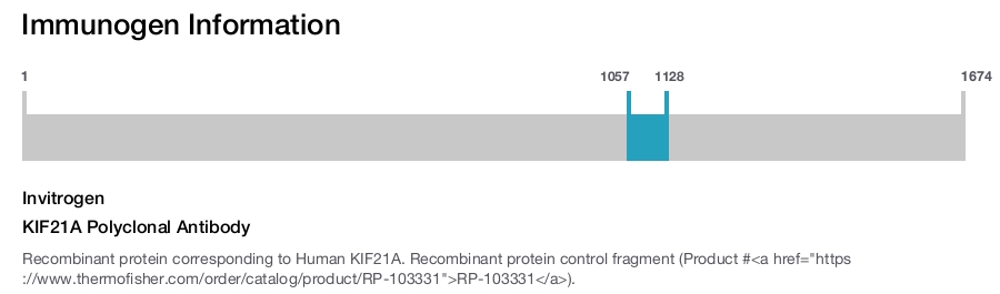 KIF21A Polyclonal Antibody