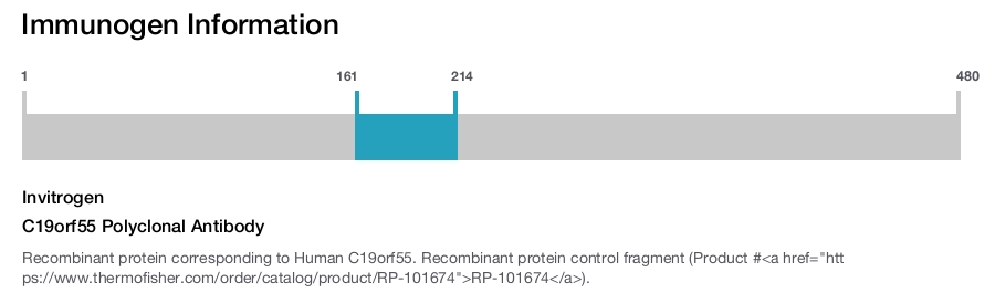 C19orf55 Polyclonal Antibody