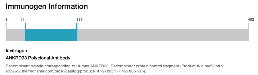 ANKRD33 Polyclonal Antibody