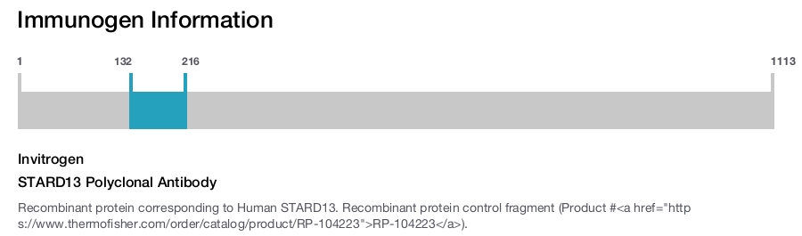 STARD13 Polyclonal Antibody