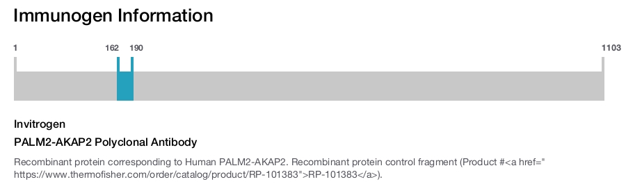 PALM2-AKAP2 Polyclonal Antibody
