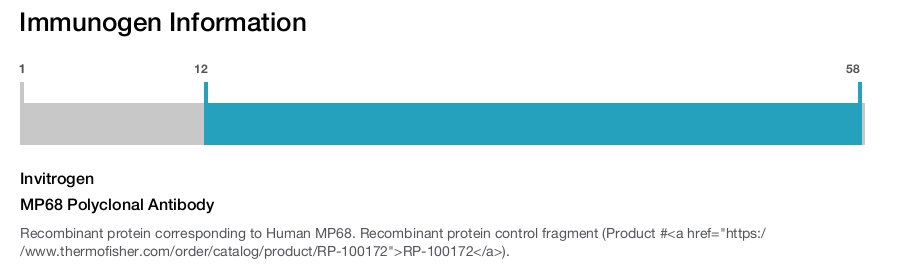 MP68 Polyclonal Antibody