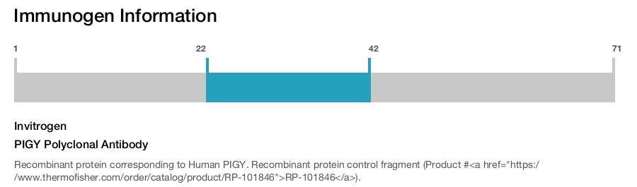 PIGY Polyclonal Antibody