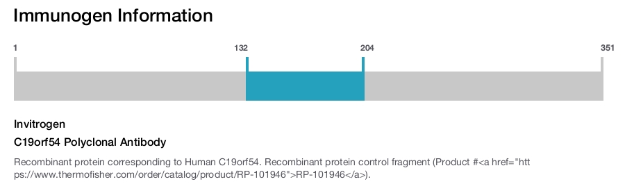 C19orf54 Polyclonal Antibody