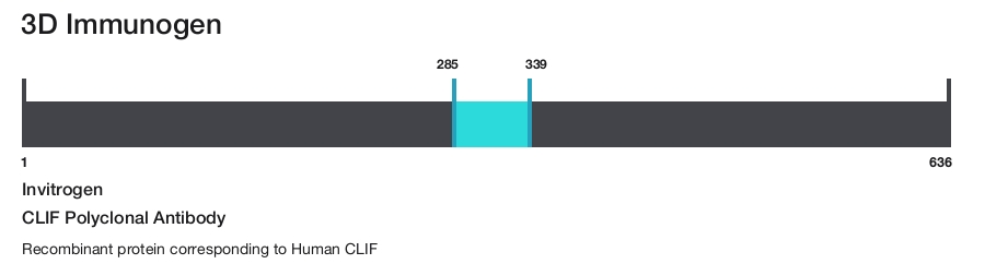 CLIF Polyclonal Antibody