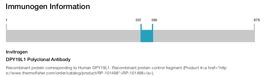 DPY19L1 Polyclonal Antibody