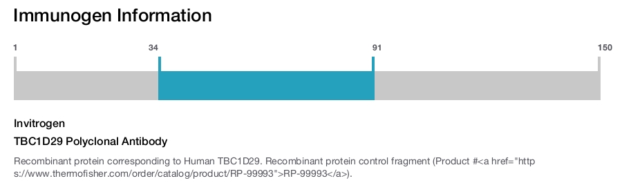 TBC1D29 Polyclonal Antibody