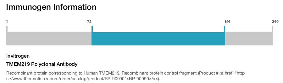 TMEM219 Polyclonal Antibody