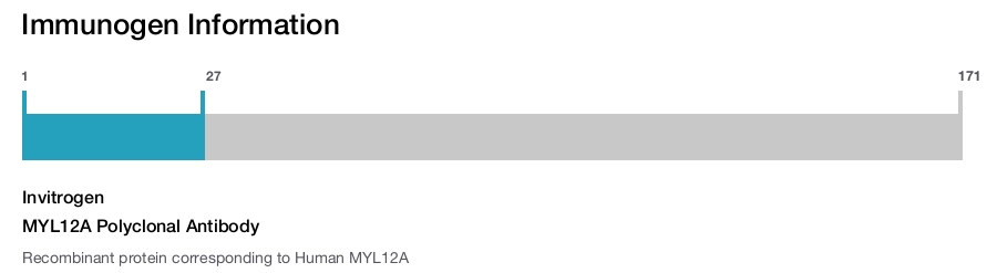 MYL12A Polyclonal Antibody