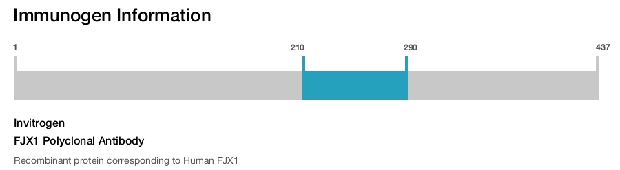 FJX1 Polyclonal Antibody