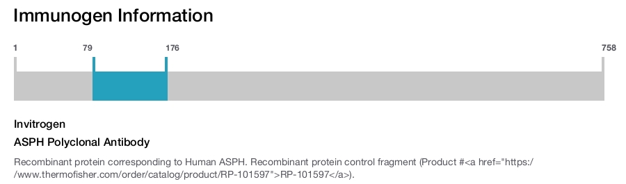 ASPH Polyclonal Antibody