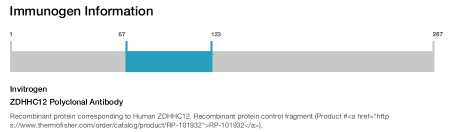 ZDHHC12 Polyclonal Antibody