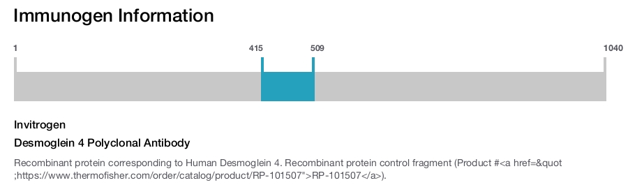 Desmoglein 4 Polyclonal Antibody