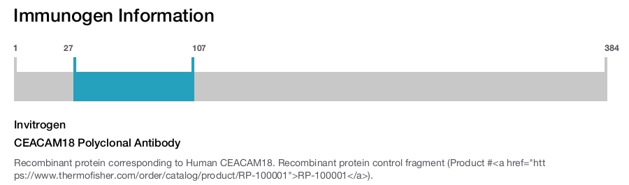 CEACAM18 Polyclonal Antibody