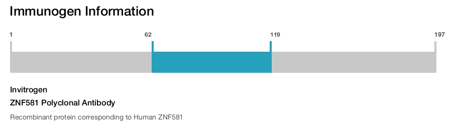 ZNF581 Polyclonal Antibody