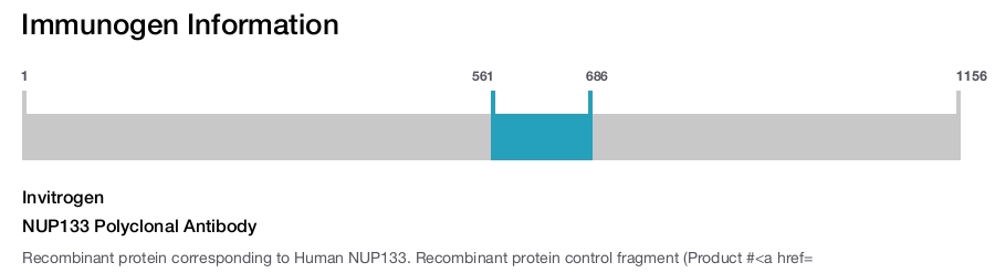 NUP133 Polyclonal Antibody