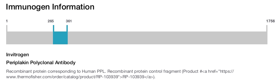 Periplakin Polyclonal Antibody