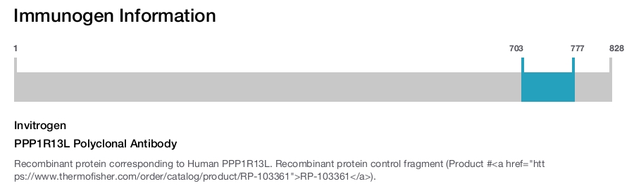 PPP1R13L Polyclonal Antibody