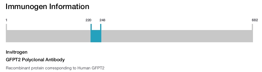 GFPT2 Polyclonal Antibody