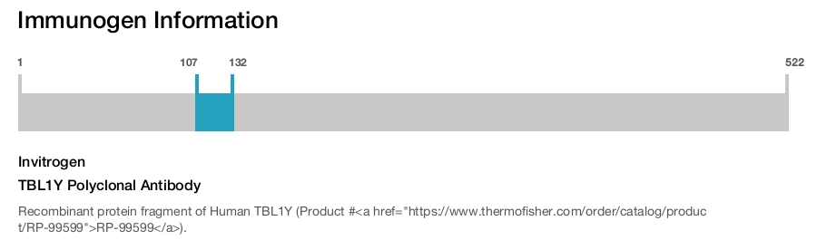 TBL1Y Polyclonal Antibody