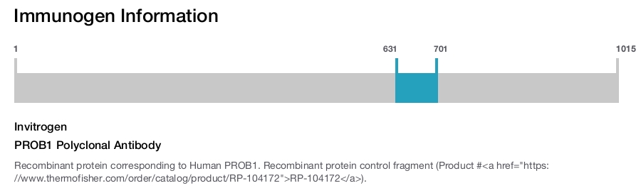 PROB1 Polyclonal Antibody
