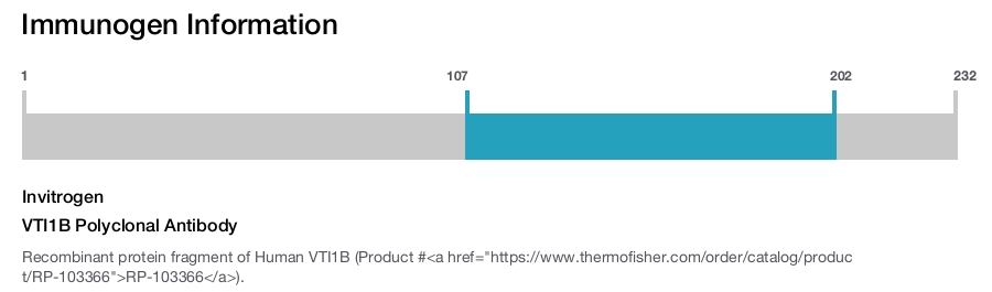 VTI1B Polyclonal Antibody