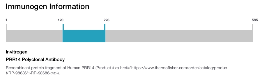 PRR14 Polyclonal Antibody