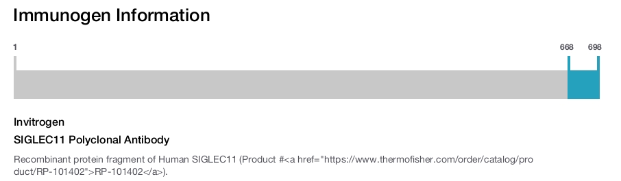 SIGLEC11 Polyclonal Antibody