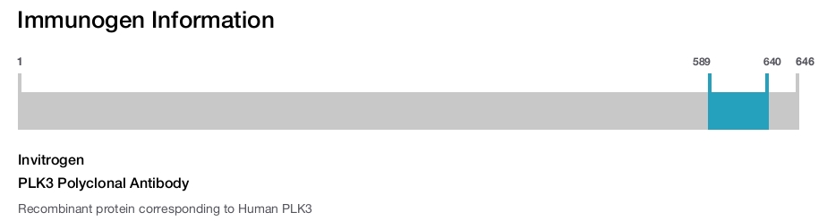 PLK3 Polyclonal Antibody