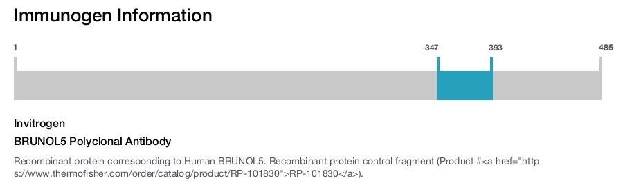 BRUNOL5 Polyclonal Antibody