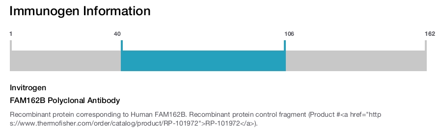 FAM162B Polyclonal Antibody