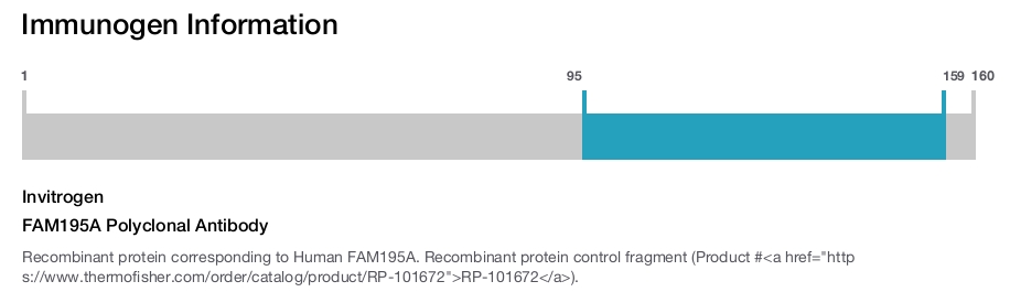 FAM195A Polyclonal Antibody