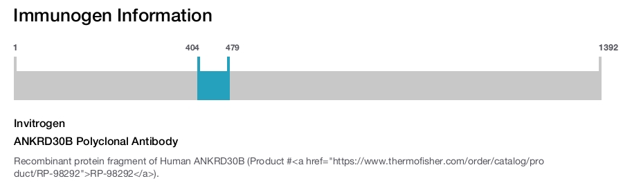 ANKRD30B Polyclonal Antibody