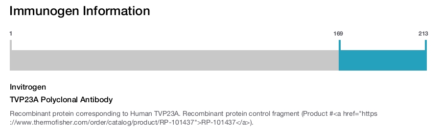 TVP23A Polyclonal Antibody