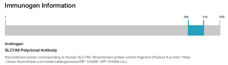 SLC7A8 Polyclonal Antibody