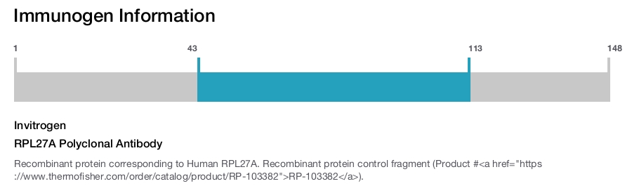 RPL27A Polyclonal Antibody