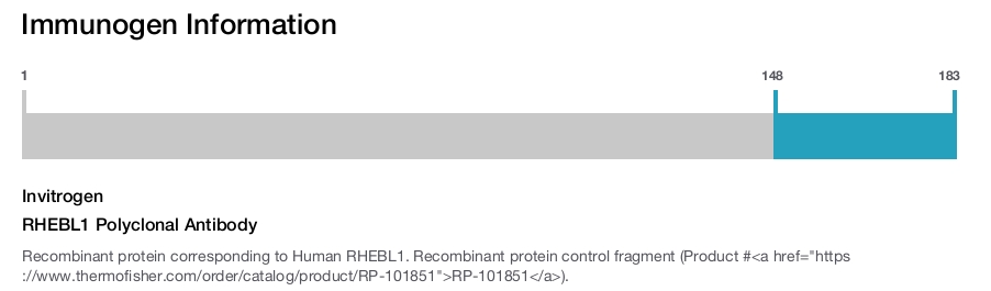 RHEBL1 Polyclonal Antibody