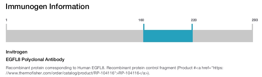 EGFL8 Polyclonal Antibody