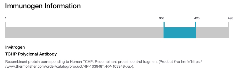 TCHP Polyclonal Antibody