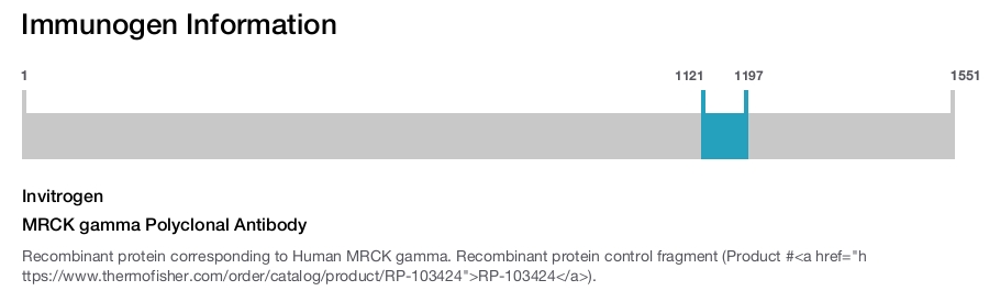 MRCK gamma Polyclonal Antibody
