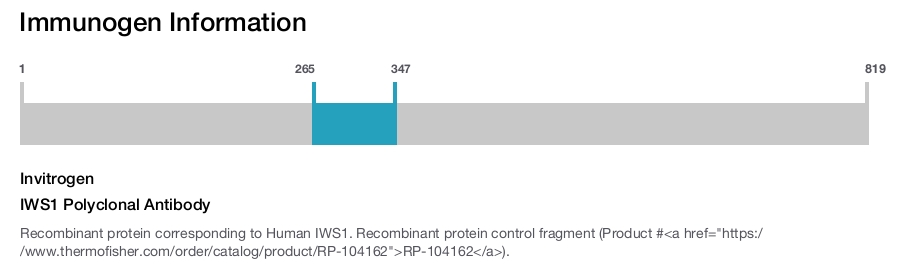 IWS1 Polyclonal Antibody